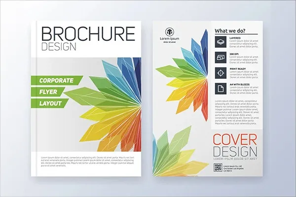 brochure design